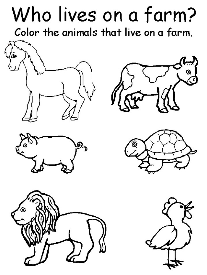 20 Evs Worksheets For Kindergarten On Animals