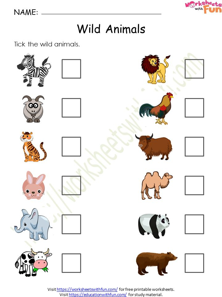 20 Evs Worksheets For Kindergarten On Animals