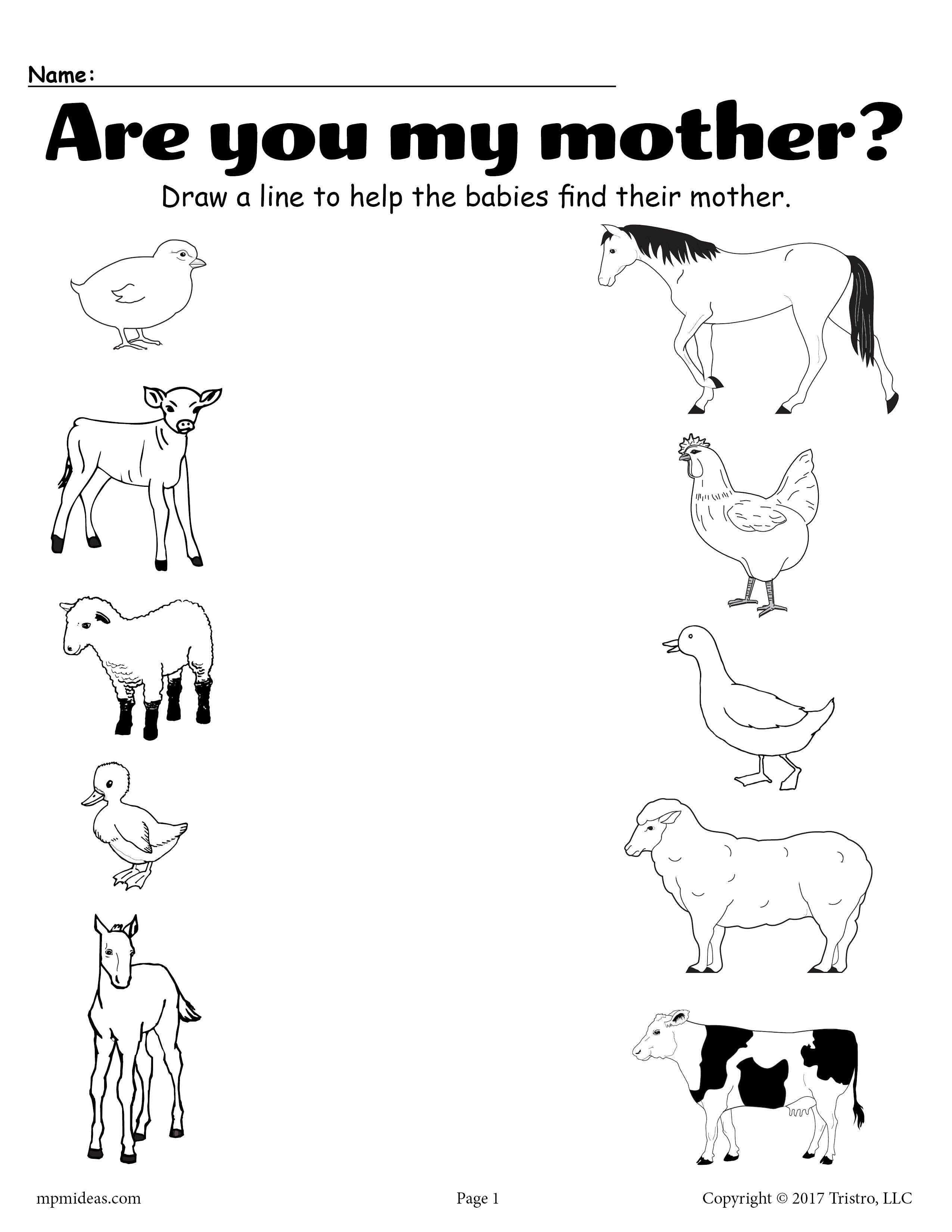 20 Evs Worksheets For Kindergarten On Animals