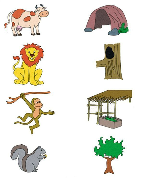 20 Evs Worksheets For Kindergarten On Animals