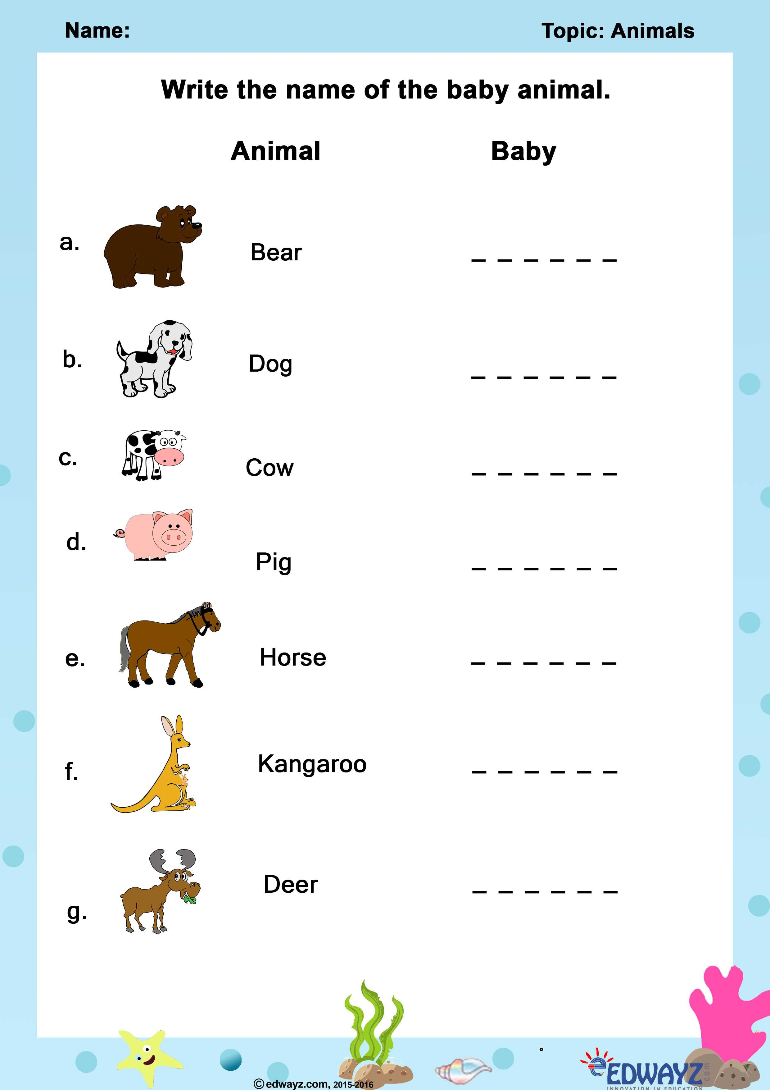 20 Evs Worksheets For Kindergarten On Animals