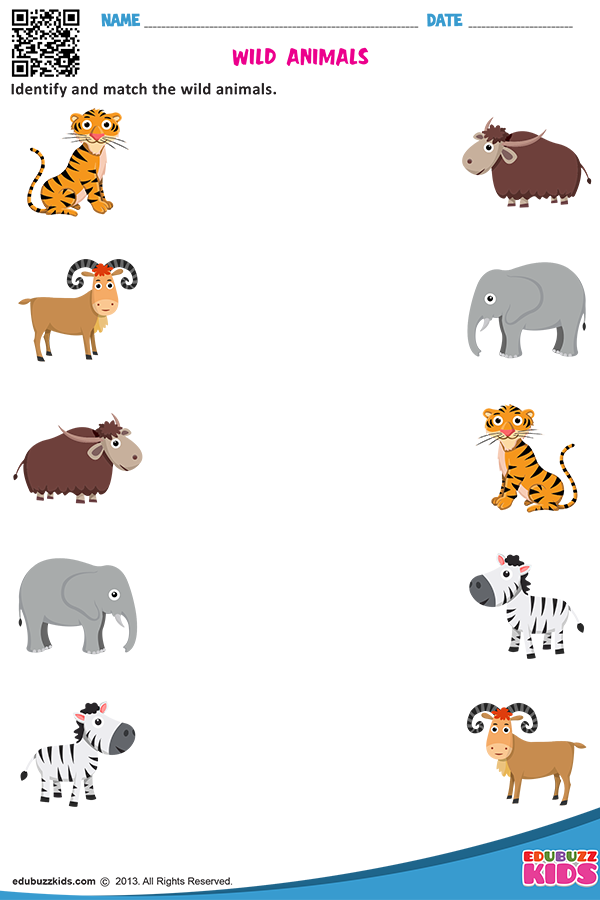 20 Evs Worksheets For Kindergarten On Animals