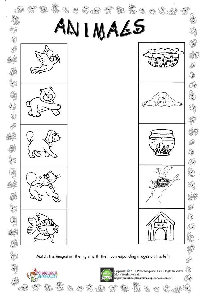 20 Evs Worksheets For Kindergarten On Animals