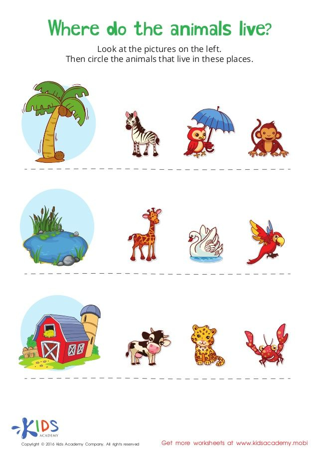 20 Evs Worksheets For Kindergarten On Animals