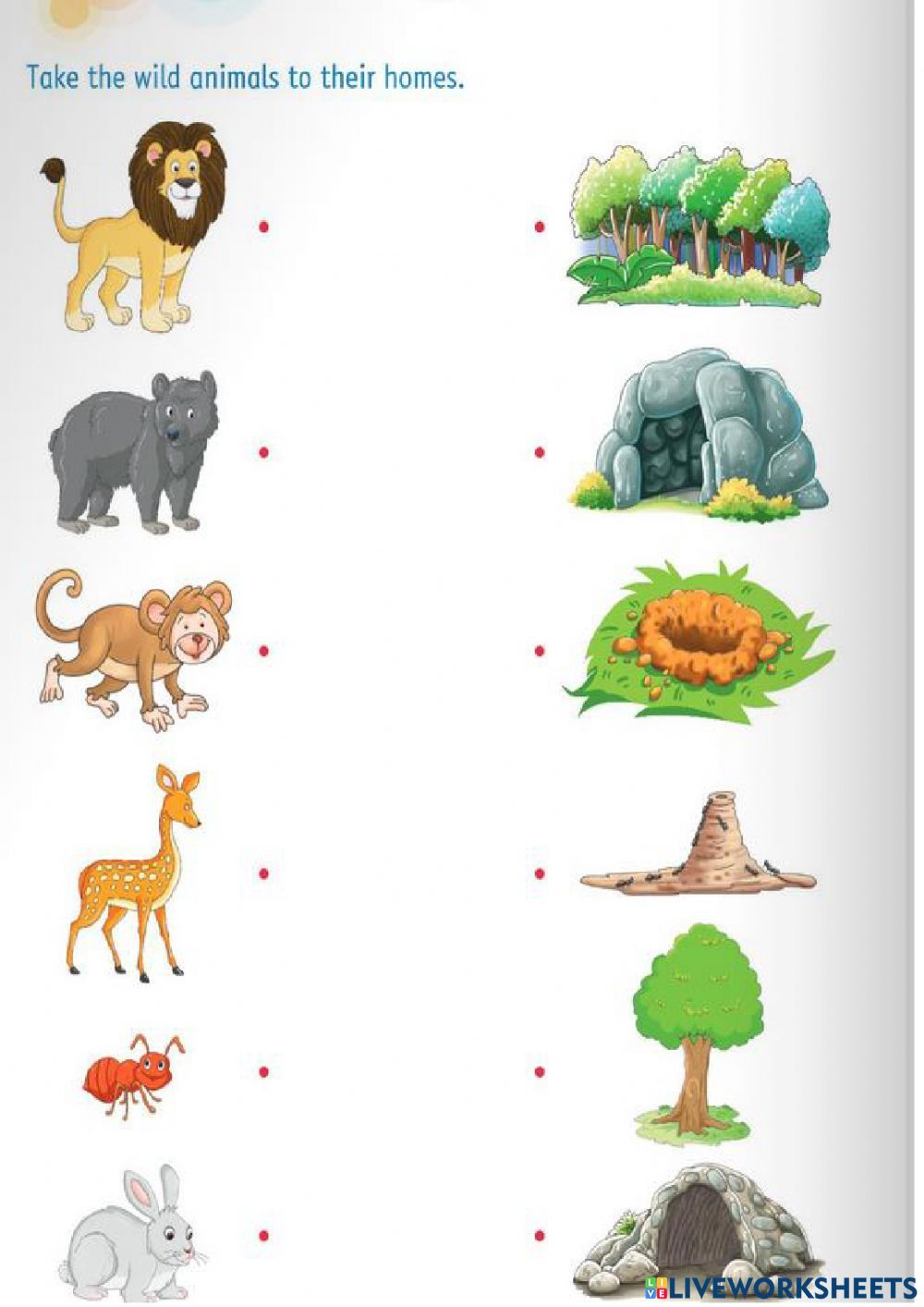 20 Evs Worksheets For Kindergarten On Animals