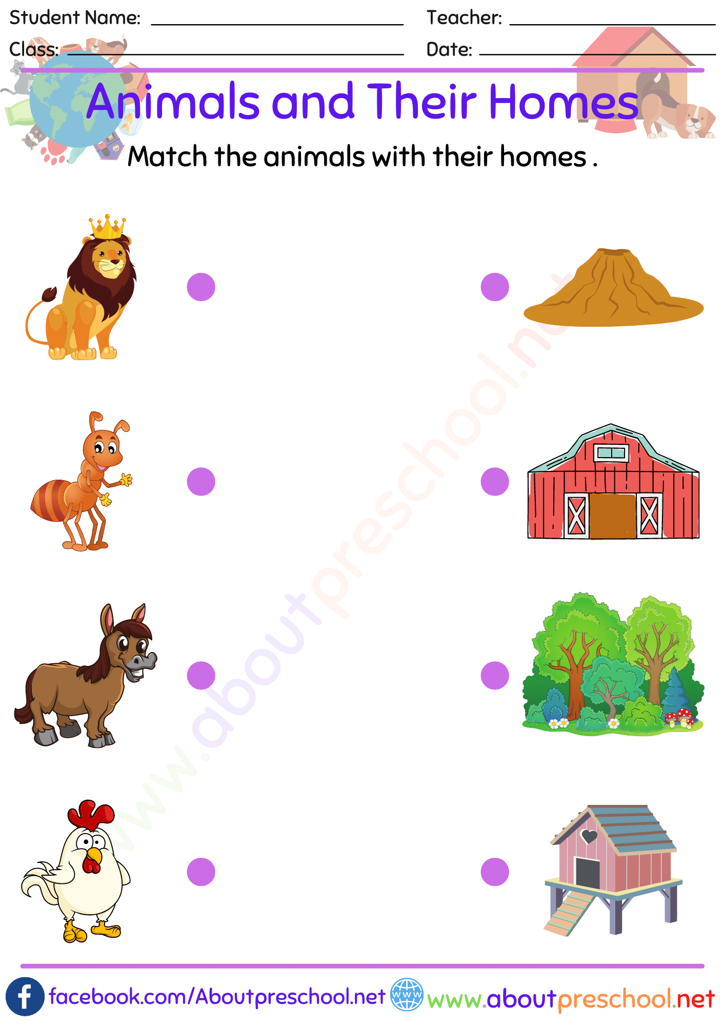 20 Evs Worksheets For Kindergarten On Animals