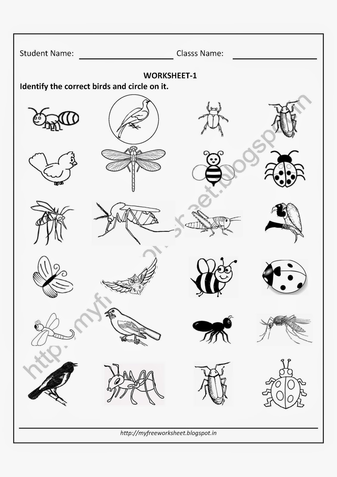 20 Evs Worksheets For Kindergarten On Animals