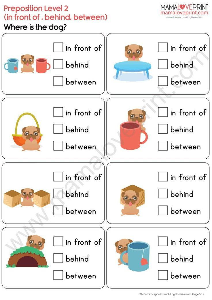 20 Grade 1 English Worksheets for Kids Grammar