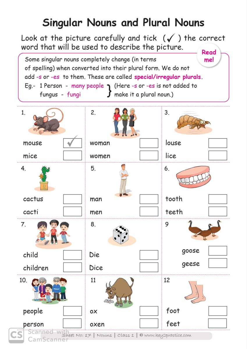 20 Grade 1 English Worksheets for Kids Grammar