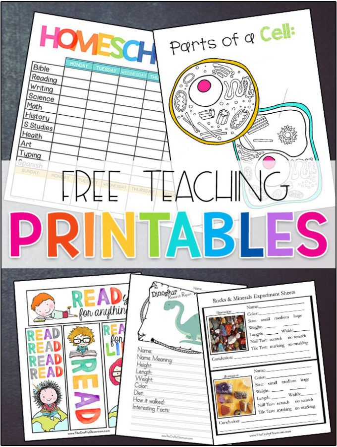 20 Homeschool Kindergarten Printables Free Worksheets