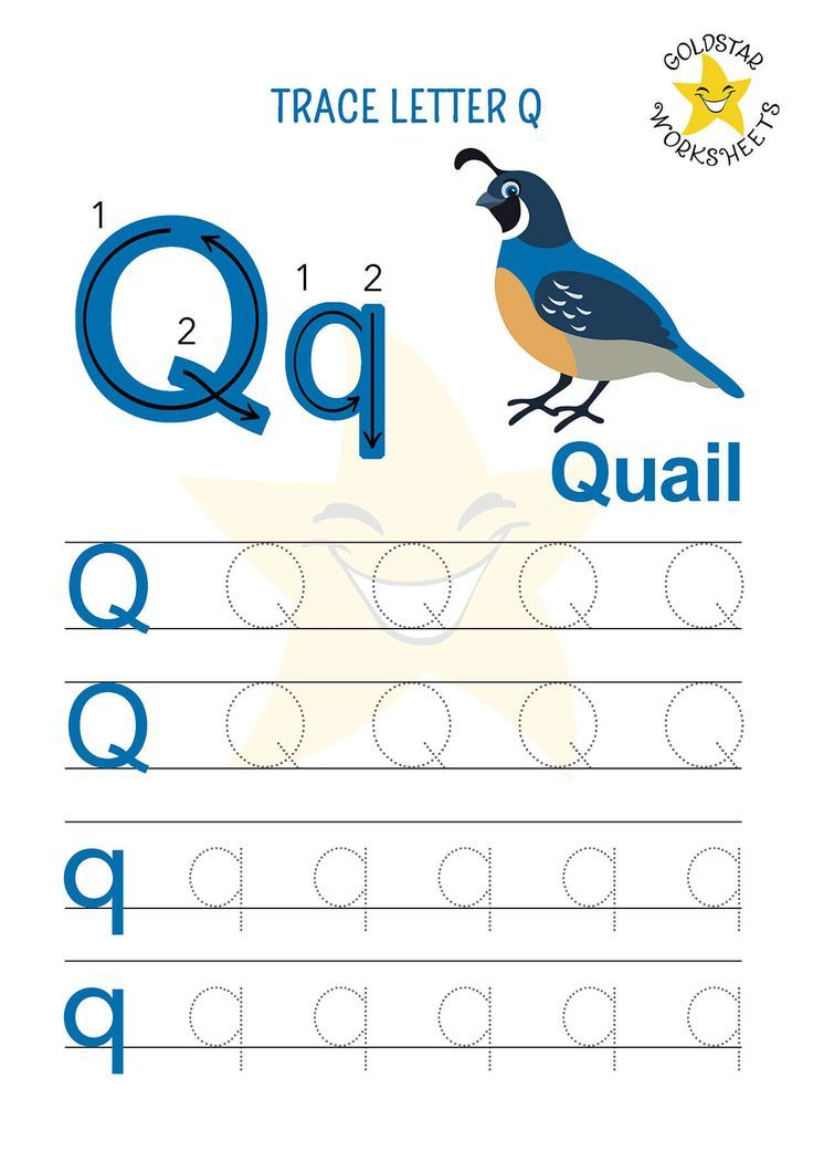 20 Letter Qq Worksheets For Kindergarten