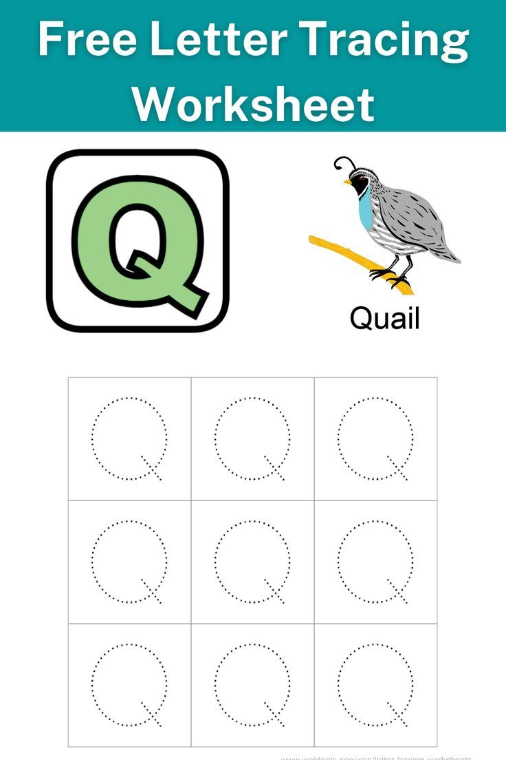 20 Letter Qq Worksheets For Kindergarten