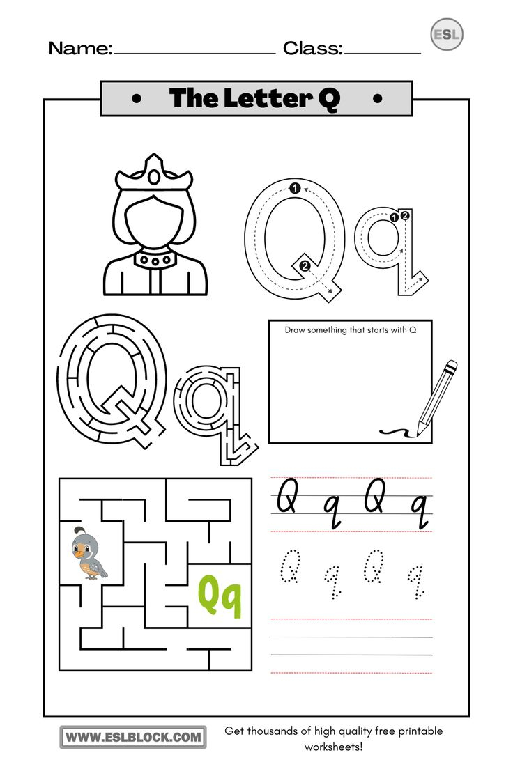 20 Letter Qq Worksheets For Kindergarten