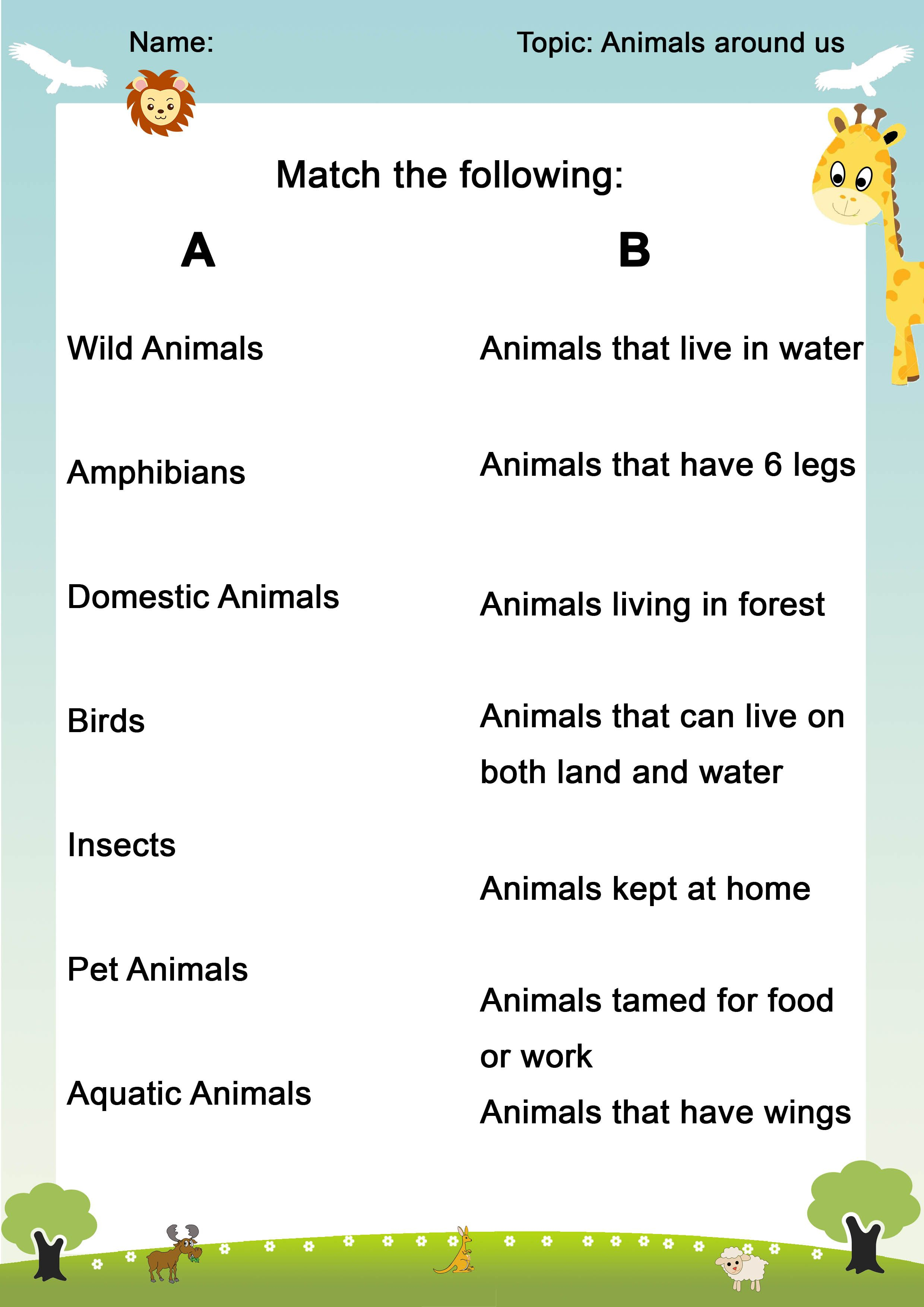 21 Evs Worksheets For Kindergarten On Animals