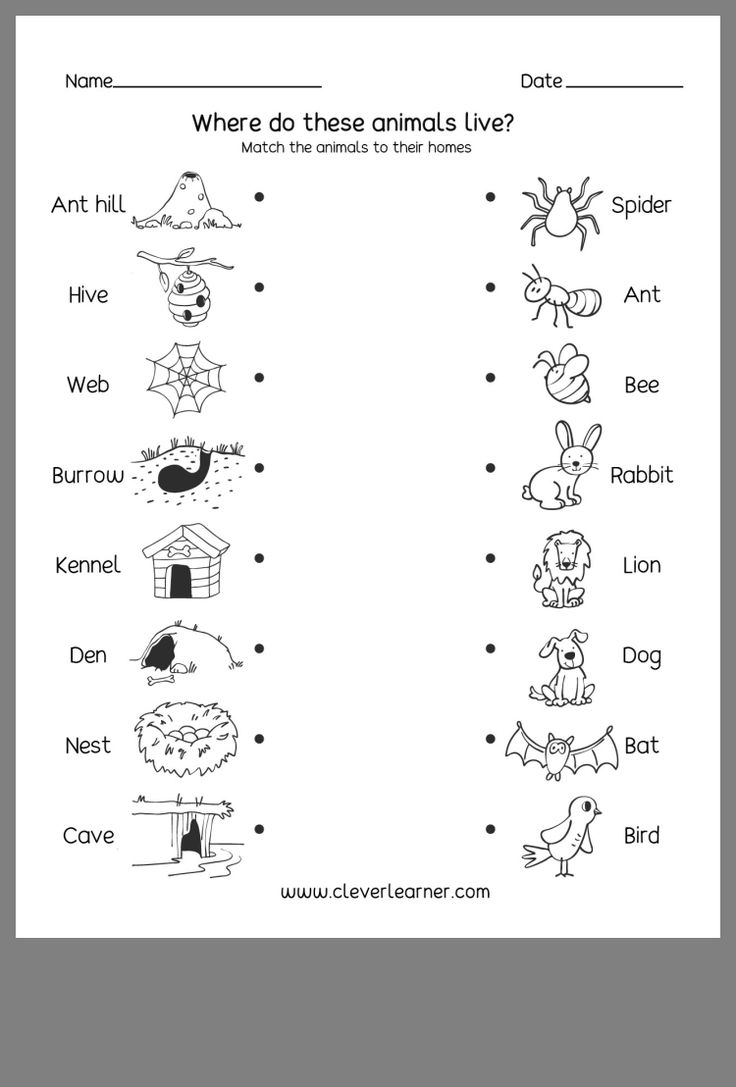 21 Evs Worksheets For Kindergarten On Animals