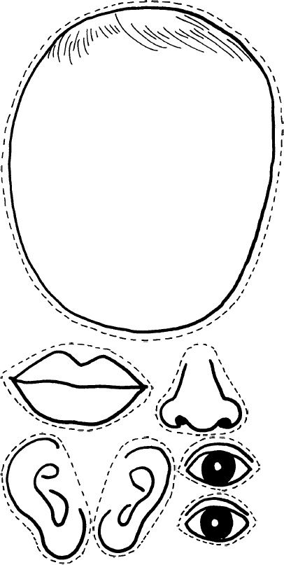 41 Body Parts for Kids Worksheets