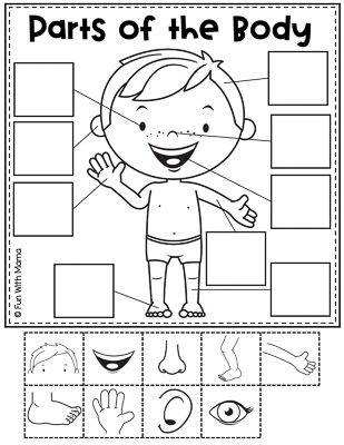 41 Body Parts for Kids Worksheets
