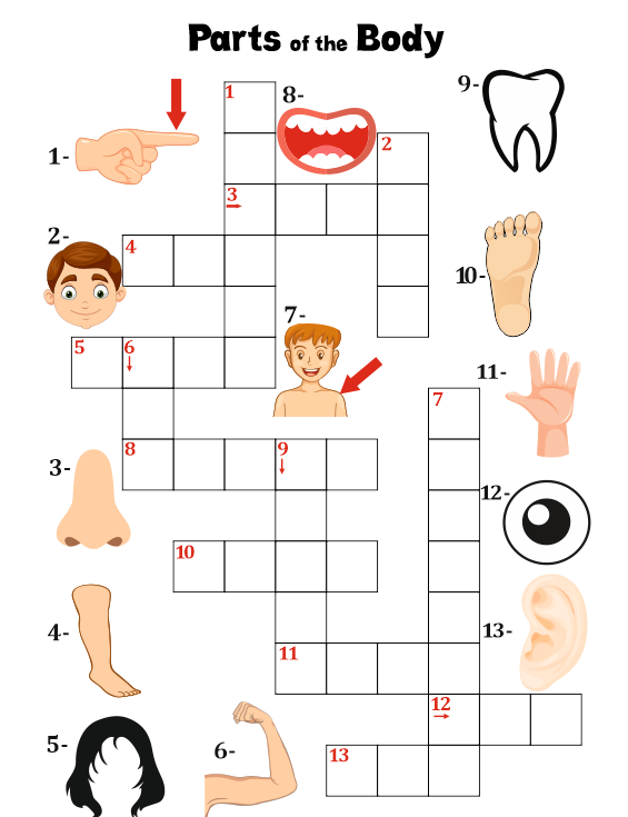 41 Body Parts for Kids Worksheets