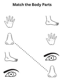 41 Body Parts for Kids Worksheets