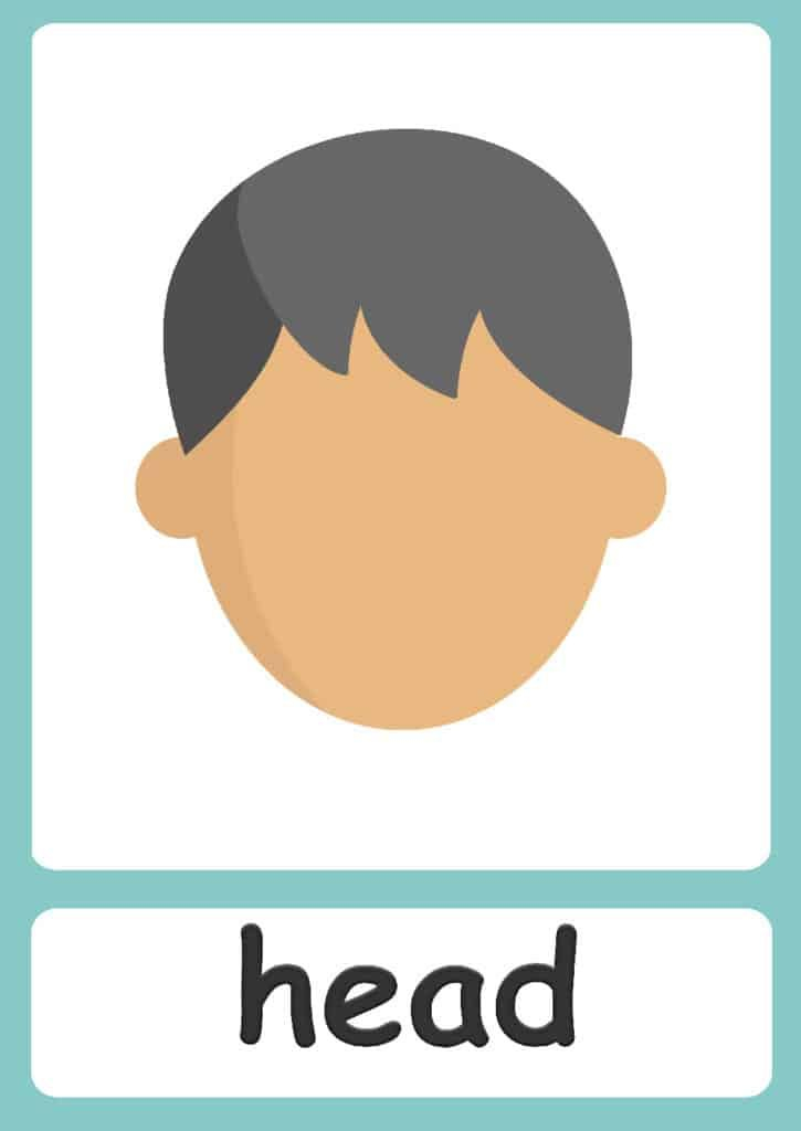 41 Body Parts for Kids Worksheets