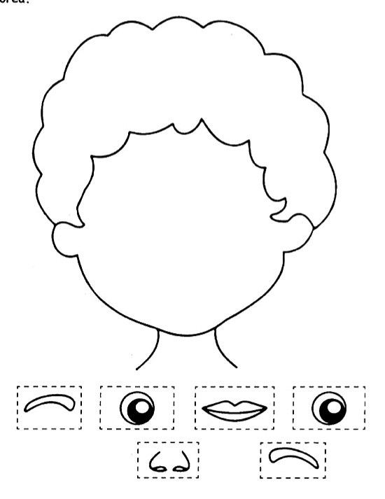 41 Body Parts for Kids Worksheets