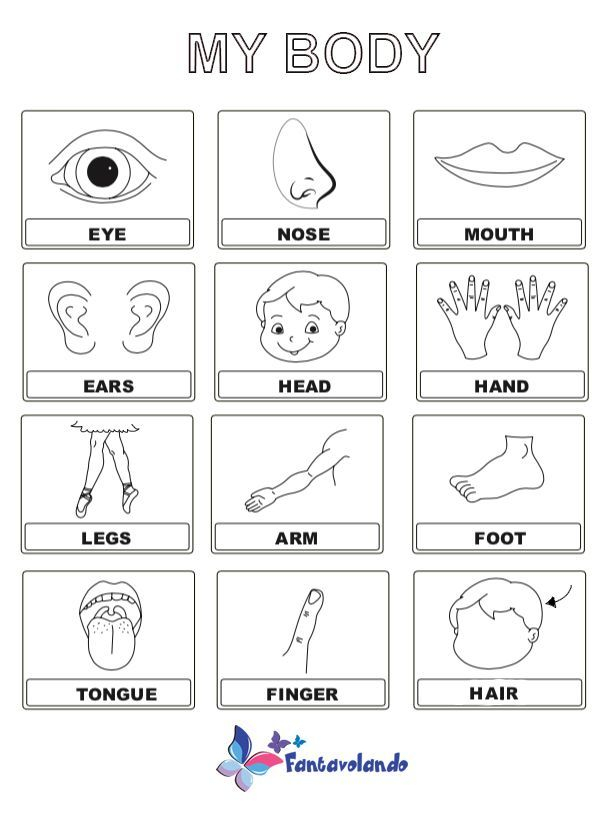 41 Body Parts for Kids Worksheets
