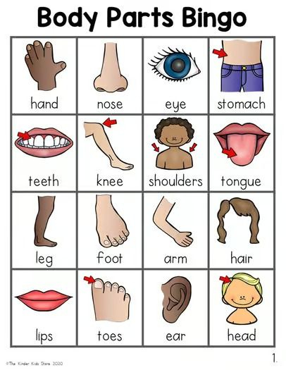 41 Body Parts for Kids Worksheets