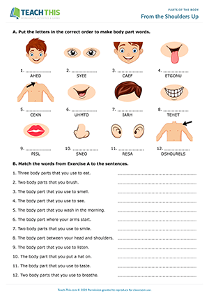 41 Body Parts for Kids Worksheets