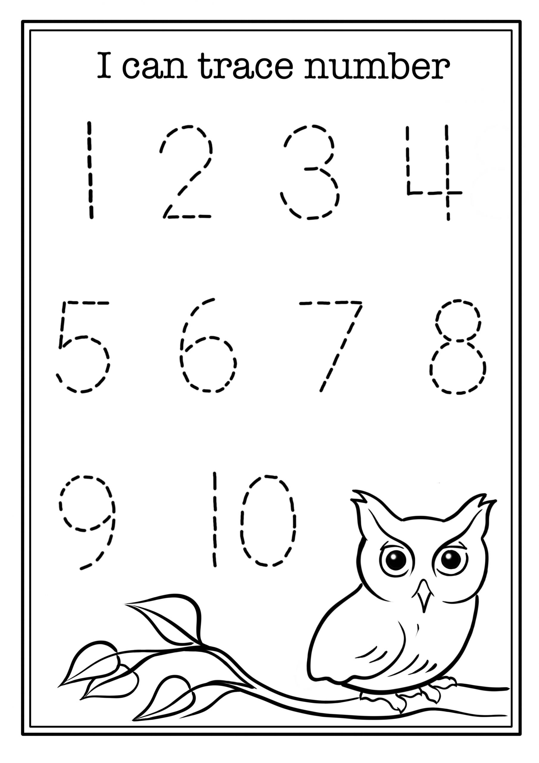 25 Pre K Worksheets Free Printables